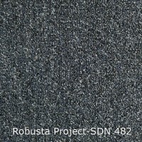 Robusta Project-SDN 482